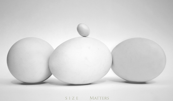 size-matters-eggs
