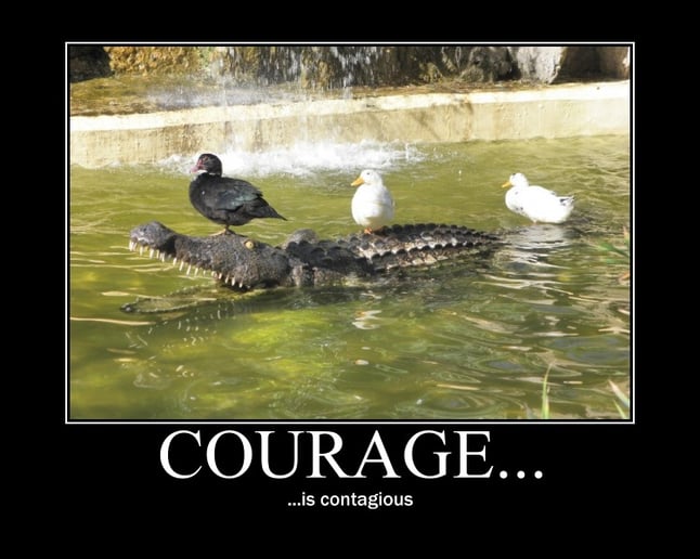 Courage-Promotes-Teamwork-and-Employee-Engagement